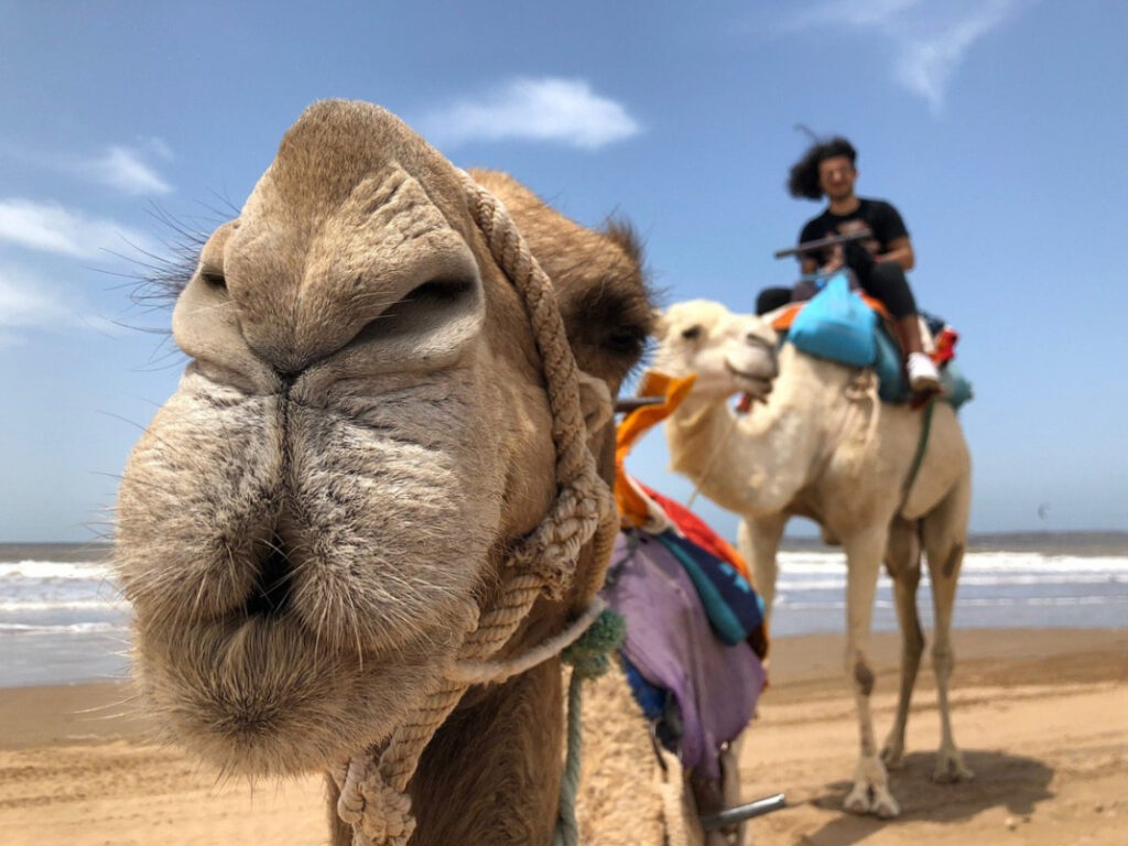 spots surf taghazout